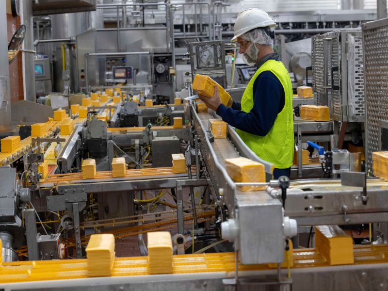 Choosing the Right Industrial Equipment for High-Volume Dairy Lines